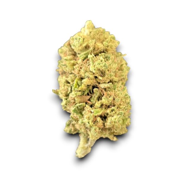 Fleur CBD Tangie Indoor cultivée en Italie – Arômes agrumes et têtes compactes
