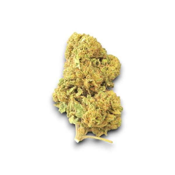 Fleur CBD Cannapunch Outdoor cultivée en Provence – Arômes tropicaux et fruités