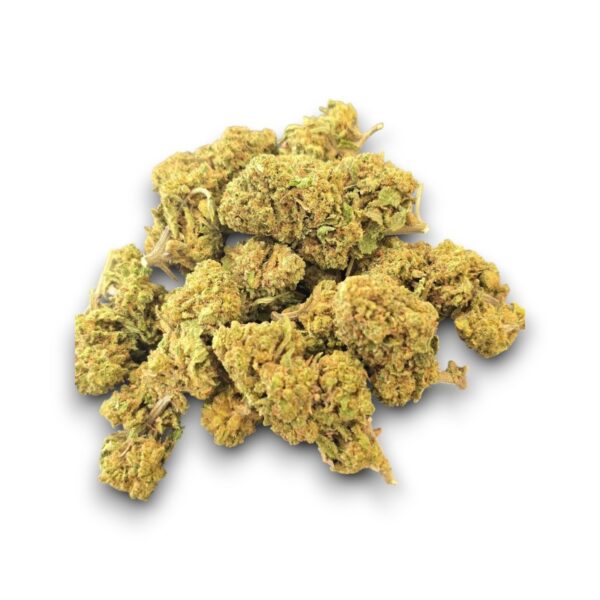 Fleur CBD Cannapunch Outdoor cultivée en Provence – Arômes tropicaux et fruités