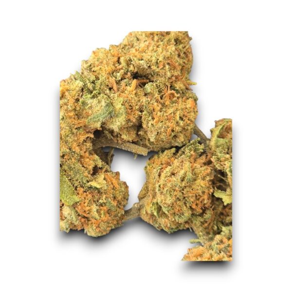 Small Bud CBD Mandarin Cookie cultivé sous serre en Provence