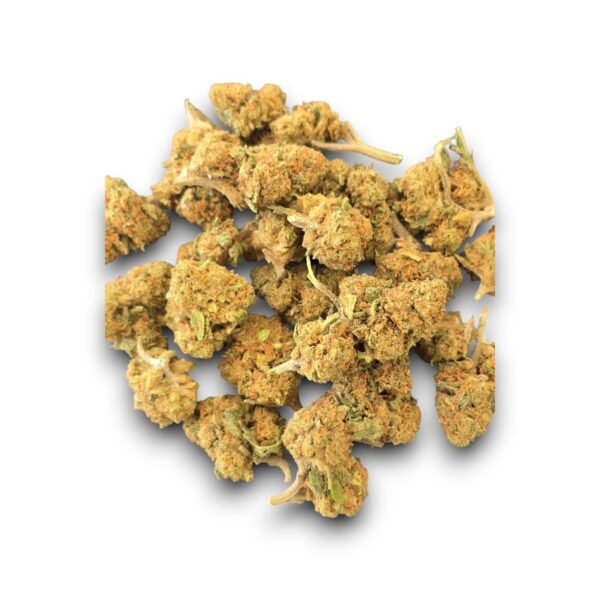Small Bud CBD Mandarin Cookie cultivé en extérieur en Provence