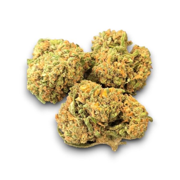 Fleur CBD Amnesia Outdoor cultivée en Provence – Arômes citronnés