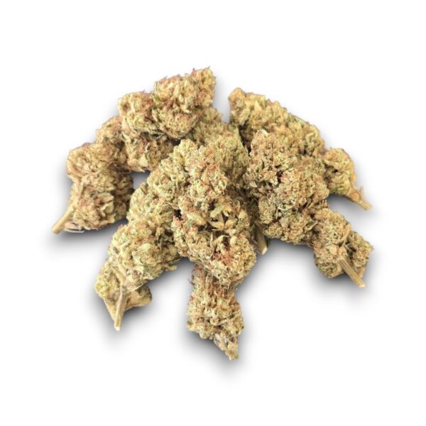 Fleur de CBD Miss B Glasshouse cultivée en France par Les Jardins de Magu – Arômes floraux et détente équilibrée