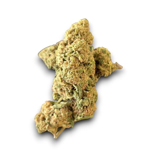 Fleur CBD OG Kush Glasshouse cultivée en Italie – Saveurs boisées et effet relaxant