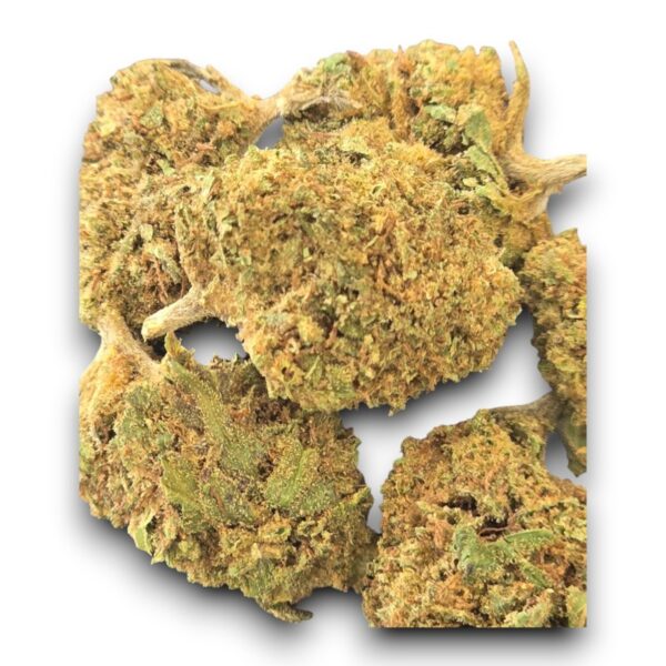 Small Bud CBD Blueberry cultivé en Provence