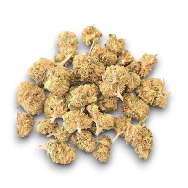 Small Bud CBD Blueberry cultivé en Provence